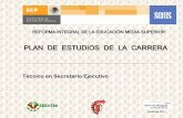 PPLLAANN DDEE EESSTTUUDDIIOOSS DDEE LLAA …mediasuperior.tamaulipas.gob.mx/wp-content/uploads/2011/10/ITACE... · El profesional técnico en la carrera de TÉCNICO EN SECRETARIO