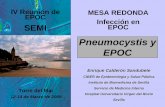 IV Reunión de MESA REDONDA EPOC Infección en … · causa de neumonías en inmunodeprimidos Perspectiva histórica de Pneumocystis 1990s Hongo, un genero con varias especies 2000s