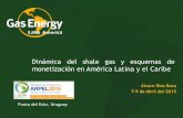 Dinámica del shale gas y esquemas de monetización …media.arpel2011.clk.com.uy/conf2015/ppt/11.pdf · 2 Contenido • Breve presentación institucional Gas Energy Latín América