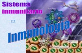Respuesta adaptativa o específica - I.E.S "POETA …iespoetaclaudio.centros.educa.jcyl.es/sitio/upload/inmunologia2__2... · Timo Ganglios Maduración de los linfocitos T Secundarios