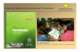 Guía de Educación Ambiental Carabobo · aspiraciones de las generaciones del presente, sin ... • Características de la educación ... • Capacitación de 2 Coordinadores de