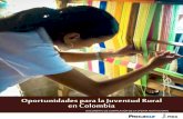 Oportunidades para la Juventud Rural en Colombiajuventudruralemprendedora.procasur.org/wp-content/uploads/2014/01/... · Formación de capacidades en los jóvenes 35 Emprendimiento
