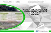 Estrategia de conservación de suelos 2 - … · ESTRATEGIAS DE CONSERVACIÓN DE SUELO Y AGUA 1 • Antecedentes En México, los problemas de degradación de los suelos y la falta