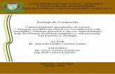 Trabajo de Graduaciónrepositorio.una.edu.ni/2095/1/tnf30c397.pdf · Trabajo de Graduación Comportamiento agronómico de cocona (Solanum sessiliflorum Dunal var. Sessiliflorum) y