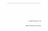 CAPÍTULO III METODOLOGÍA - catarina.udlap.mxcatarina.udlap.mx/u_dl_a/tales/documentos/lco/mendez_l_jl/capitulo... · Una vez realizada la revisión de los modelos de investigación