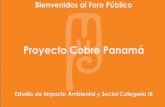 Proyecto Cobre Panamá · Proyecto Cobre Panamá ... de mineral Primeros 10 años Años siguientes 225.000 ton / día 150.000 ton / día Concentrado Cu, molibdeno Fase Operación