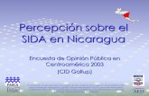 Percepción sobre el SIDA en Nicaragua - cepresi.org.ni sobre el SIDA en... · Acuerdo con frases sobre el SIDA. Se presentó persona entrevistada varios ... Las personas pueden protegerse