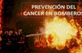 PREVENCIÓN DEL CANCER EN BOMBEROS - …€¦ · Un incendio en menos de 2 ... Su vida media en la ... La evaluación se realizó según los procedimientos de prueba del Departamento