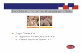BioGás e Industria Avícola en Chile Industria Avícola y … · Trabajo con autoridades gubernamentales Moderna industria orientada a la calidad e inocuidad de los alimentos ...