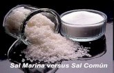 Sal Marina versus Sal Común - iesmurgi.org · Carecemos de los minerales sin la sal marina Y, la otra, la Sal Común...mata. (De a poco, pero mata). ... Los músculos , al deshidratarse,