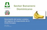 Sector Bananero Dominicano - otcasea.gob.do · Producción de Banano de la República Dominicana (RD): crecimiento de 7% en los 10 últimos años Fuente: Elaborado por la OTCA con