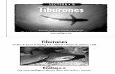 L E C T U R A • Q Tiburoneslcollierafhs.weebly.com/uploads/2/1/4/4/21446950/raz_lq06_sharks... · Los tiburones hasta pueden sentir pequeñas ondas de electricidad, que son producidas