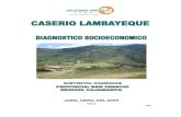 Diagnóstico - Lambayeque - funsepa.net · casa de máquinas, la autorización de pases de los propietarios de los terrenos por donde pasa el canal y las gestiones ante el distrito