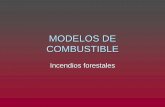 MODELOS DE COMBUSTIBLE - uva.es€¦ · Utilidad de los modelos El poder calorífico y la aireación de los modelos son función directa de la velocidad de avance y la altura de llama