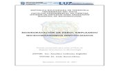 BIODEGRADACIÓN DE FENOL EMPLEANDO …tesis.luz.edu.ve/tde_arquivos/52/TDE-2013-04-30T08:14:28Z-3890/... · bacterias degradadoras de fenol. 48 FIGURA 2. Esquema ilustrativo del sistema