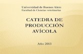 CATEDRA DE PRODUCCIÓN AVÍCOLA - Facultad de …dpd.fvet.uba.ar/cartelera/00012986.pdf · incidencia mortal en las aves, entre los ... Abarca la absorción ... Puede alterar las