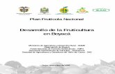 Desarrollo de la Fruticultura en Boyacá - …asohofrucol.com.co/archivos/biblioteca/biblioteca_100_BOYACA.pdf · Chirimoya 80 880 11 7. Ciruela frío 1.055 9495 9 8. Curuba 1.122