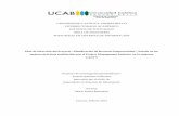 UNIVERSIDAD CATÓLICA ANDRÉS BELLO ÁREA …biblioteca2.ucab.edu.ve/anexos/biblioteca/marc/texto/Marzo 2018... · RESUMEN En la investigación se formuló un Plan de Dirección de