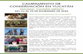 CAMPAMENTO DE CONSERVACIÓN EN YUCATÁN - …aldeasmaya.com/.../05/Convocatoria-campamento-de-invierno-2016.pdf · Proyecto #1: Mejoramiento de la imagen urbana de Yaxunah ... Taller