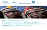 Aplicación de la Declaración de la ONU sobre los …archive.ipu.org/PDF/publications/indigenous-sp.pdf · Todos los derechos reservados. Está prohibido reproducir, almacenar en