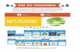 Infografía Imagen Carlos Andrés · RSE EN COLOMBIA La RSE en Colombia ha evolucionado desde el nacimiento de su concepto, su aplicación y su reconocimiento en el ámbito cotidiano.