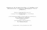 Papayas de Exportación y Criollas con Resistencia a …glifos.concyt.gob.gt/digital/fodecyt/fodecyt 1997.09.pdf · Reporte Final del Proyecto # 9 FONACYT Consejo Nacional de Ciencia