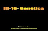 J. L. Sánchez Guillén IES Pando - Oviedo … · carácter viene determinado por tres genes alelos: IA, que determina el grupo A, I B , que determina el grupo B e i , que determina