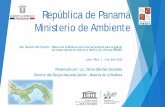 República de Panamá Ministerio de Ambiente zonas costeras en islas en el Pacífico Sur Oriental BRESEP. Lima – Perú, 1 - 3 de Julio 2015 Presentado por: Lic. Carlos Sánchez González