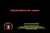 Cunicultura de carne - Universidad de Córdoba · Cunicultura de carne Pedro GONZÁLEZ REDONDO Área de Producción Animal Departamento de Ciencias Agroforestales Escuela …