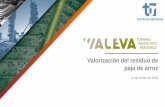 Valorización del residuo de paja de arrozwaleva.eu/wp-content/uploads/2018/04/Summary-of-final... · 2018-04-30 · Aditivos Biodiesel Precursos de poliéster Disolvente Monómero.