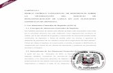 CAPÍTULO I MARCO TEÓRICO CONCEPTUAL DE …biblioteca.utec.edu.sv/siab/virtual/auprides/29985/capitulo 1.pdf · mercaderías y de bodegas, agilizando así el proceso de importación,