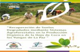 “Recuperación de Suelos Degradados mediante Sistemas ... · Recuperación de Suelos Degradados mediante Sistemas Agroforestales en la Producción Orgánica de la Hoja de Coca en