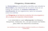 Filogenia y Sistemáticaecaths1.s3.amazonaws.com/bioarqueologia/997634161.6... · 2012-05-08 · Biología que busca entender la historia de la vida por medio de: 1. Proveer un sistema