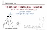 Tema 10. Fisiología Humana - dpbiologia.weebly.comdpbiologia.weebly.com/uploads/2/1/5/5/21553524/gtp_t10.fisiologia... · (control de la hipófisis) ... Su tratamiento consiste en