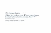 Colección Gerencia de Proyectos - Formulación y ... · 2 unidad de aprendizaje ii estudio de mercados capitulo 1 – aspectos generales 1. conceptos bÁsicos de microeconomia ...