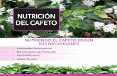 NUTRICIÓN DEL CAFETO - scanprogram.orgscanprogram.org/wp-content/uploads/2012/08/Doc-6-Nutrición-del... · momento de la planta son adecuados. RECURSOS: • Papelógrafo, papel