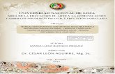 Dr. CÉSAR LEÓN AGUIRRE, Mg. Sc.dspace.unl.edu.ec/jspui/bitstream/123456789/14821/1/TESIS...e TÉCNICAS GRAFOPLÁSTICAS CON MATERIAL RECICLABLE PARA LA MOTRICIDAD FINA EN LOS NIÑOS