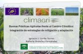 Presentación de PowerPoint -  · Asociación Española Agricultura de Conservación Suelos Vivos - AEAC.SV ... de siembra Aumento de la resiliencia ... DE LA RESILIENCIA IMPLANTACIÓN