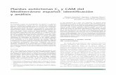 Plantas autóctonas C y CAM del 4 Mediterráneo español ...digital.csic.es/bitstream/10261/29768/12/santana.pdf · Mediterráneo español: identificación ... a su ambiente y a la