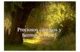 Preciosos caminos y hermosas frases - wikiblues.net · Preciosos caminos y hermosas frases. En#un#beso,#sabrás#todo#lo#que#he callado. # Pablo#Neruda. ... Tómate'tiempo'en'escoger'un'amigo,