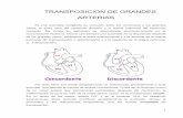 TRANSPOSICION DE GRANDES ARTERIAS - …campus.usal.es/~ogyp/Clases teoricas 2012 2013... · de los grandes vasos, situándose la aorta anteriormente y a la derecha de la arteria pulmonar