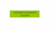 CROMATOGRAFÍA TEORIA - [DePa] Departamento de …depa.fquim.unam.mx/amyd/archivero/CG2_26113.pdf · Teoria de la Cromatografía • Existen dos modelos para explicar la cromatografía