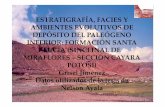 ESTRATIGRAFÍA, FACIES Y AMBIENTES … · 1. introducción estratigrafÍa y valor tectosedimentario de los depÓsitos paleoceno –eocenos de la cordillera oriental de bolivia responsable
