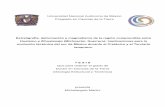Universidad Nacional Autónoma de Méxicobole/eboletin/TesisMartini1008.pdf · Universidad Nacional Autónoma de México Posgrado en Ciencias de la Tierra Estratigrafía, deformación
