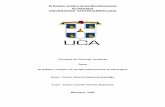 El Estatus Jurídico de las Microfinancieras En … COMPARADO CON LA LEGISLACIÓN DE COSTA RICA i. Constitución de las Microfinancieras ii. Recursos de Operación iii. Regulación