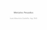 Metales Pesados - Química Ambiental · Metales Pesados Juan Mauricio Castaño. Ing. PhD . Definiciones claves •Bioacumulación •Toxicidad crónica •Toxicidad aguda –LD50