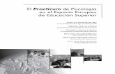 El Practicum de Psicología en el Espacio Europeo de ...0.pdf · de Educación Superior José Luis Domínguez Rey Universidad de Santiago de Compostela Hipólito Merino Madrid Universidad