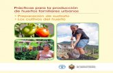 Prácticas para la producción de huertos familiares urbanos. Preparación de sustrato. Los cultivos del huerto.guzlop-editoras.com/web_des/agri01/huertos/pld1625.pdf · Los cultivos