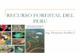 RECURSO FORESTAL DEL PERU - cecfic.uni.edu.pececfic.uni.edu.pe/archivos/madera/Presentacion Recurso Forestal... · vigente la ley forestal y de fauna silvestre del año 2000, ley