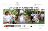 Co-Gestión Amazonía Perú - giz.de · sostenible de recursos forestales en comunidades Nueva ley forestal con norma complementaria que ... Procedimiento simplificado y costo reducido